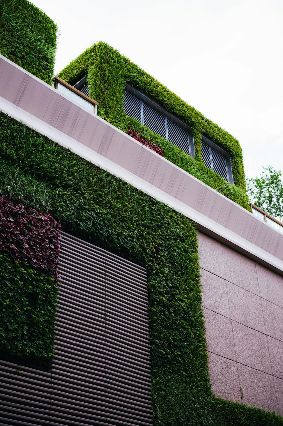 Eco-Friendly Architecture