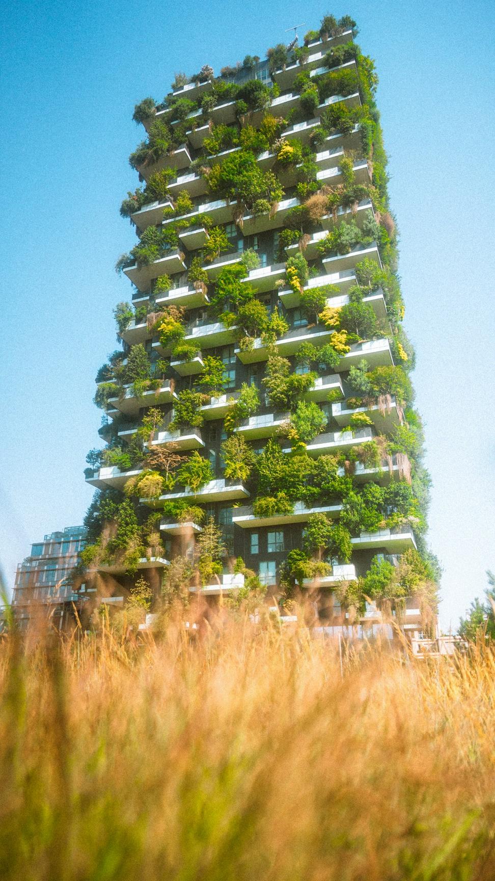 Future of Sustainable Design